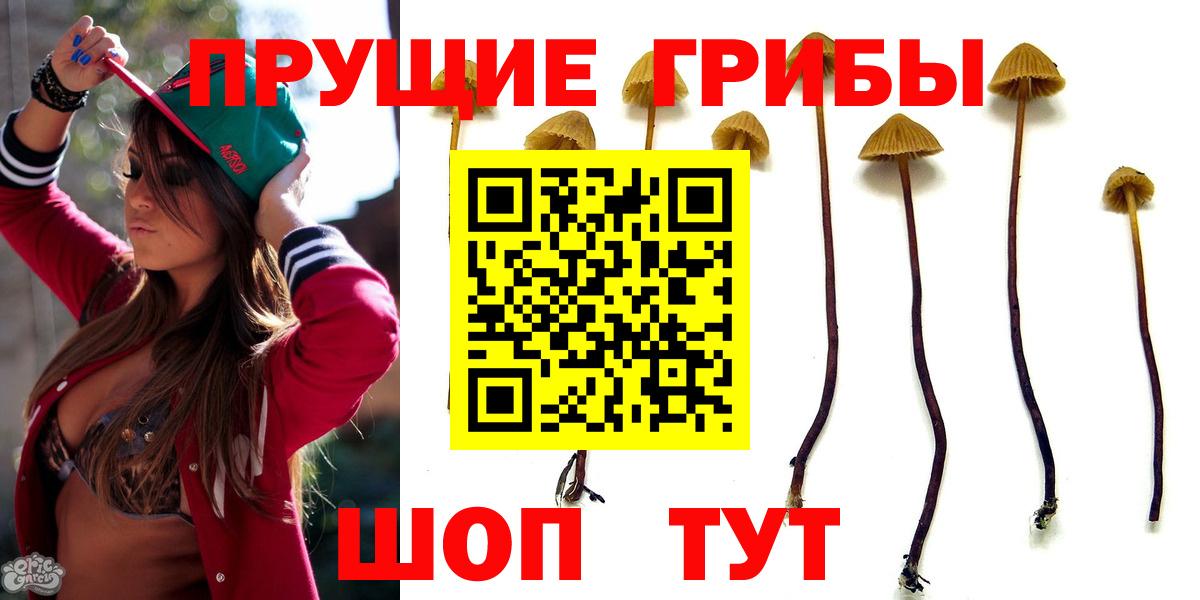 Псилоцибиновые грибы ЛСД Донецк